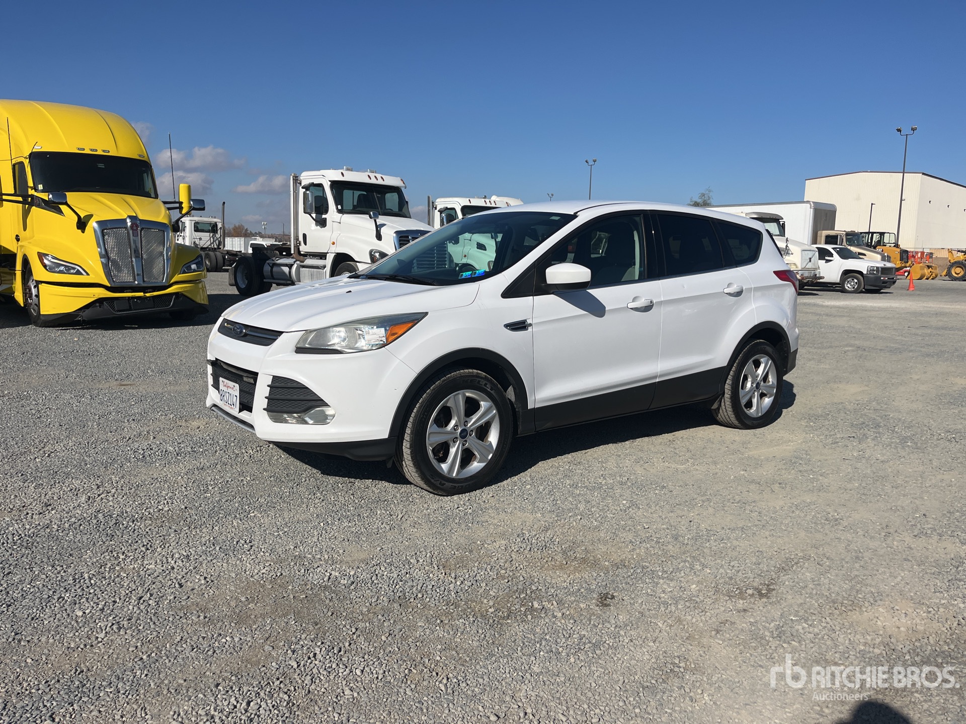 General Appearance with Spin