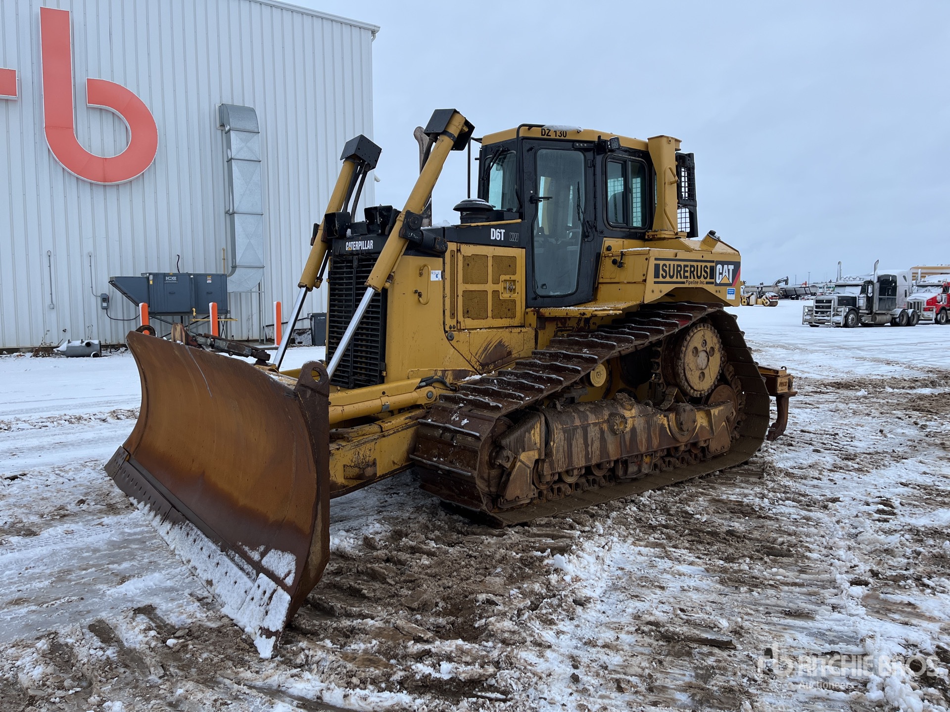 General Appearance with Spin