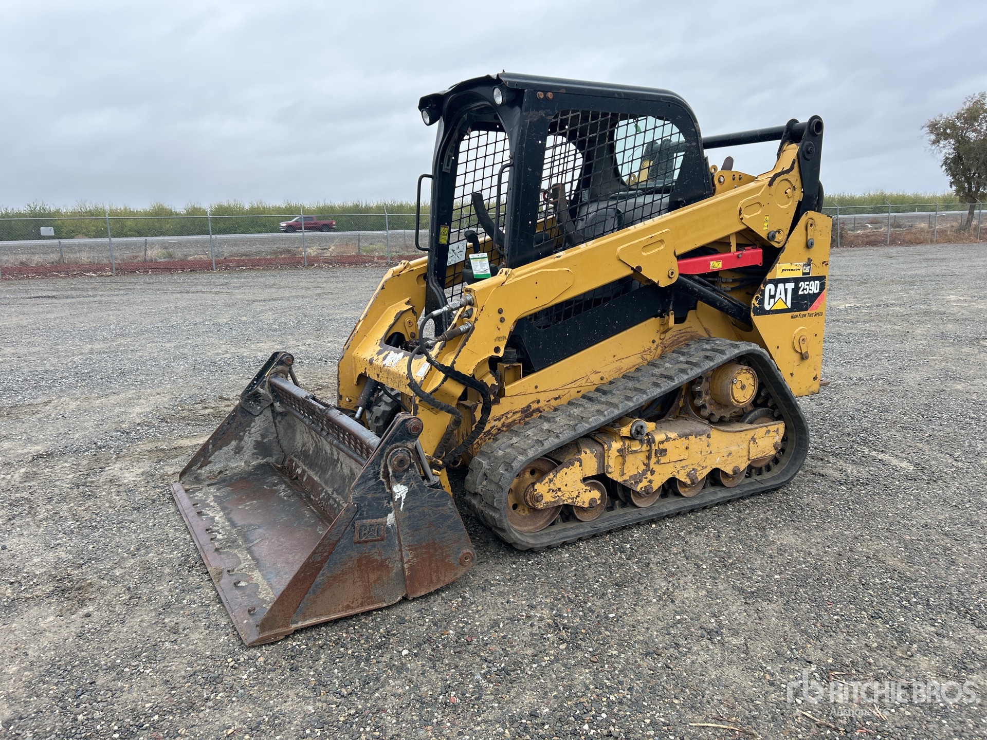 General Appearance with Spin