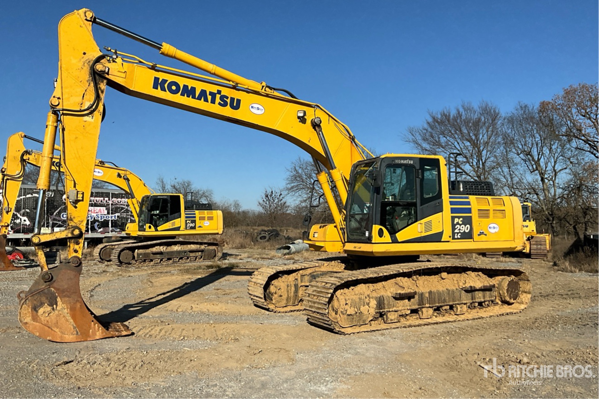 General Appearance with Spin