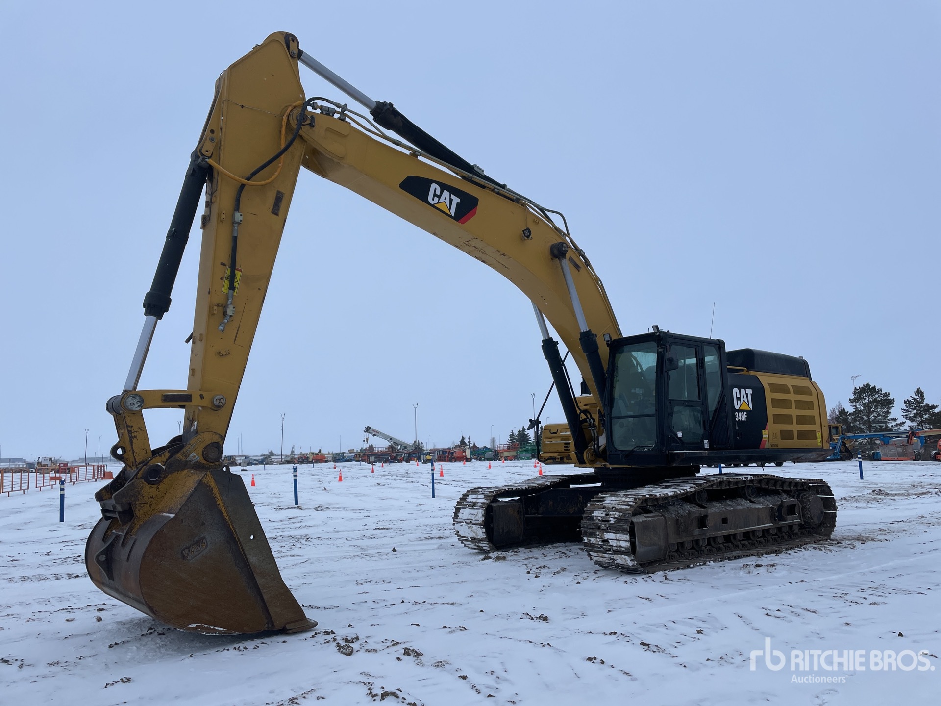 General Appearance with Spin