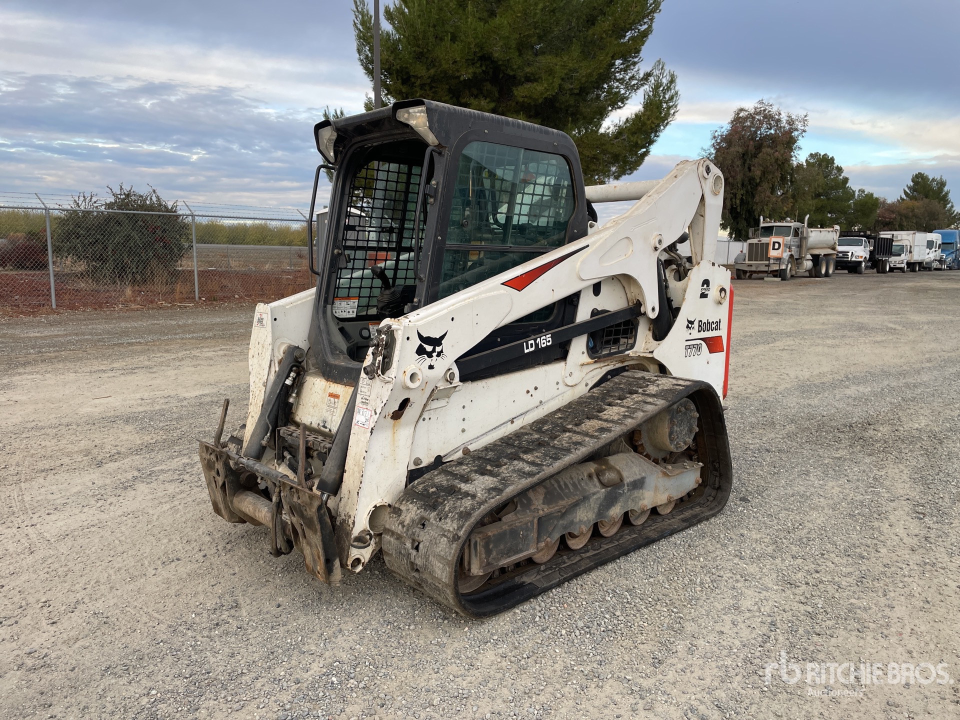 General Appearance with Spin