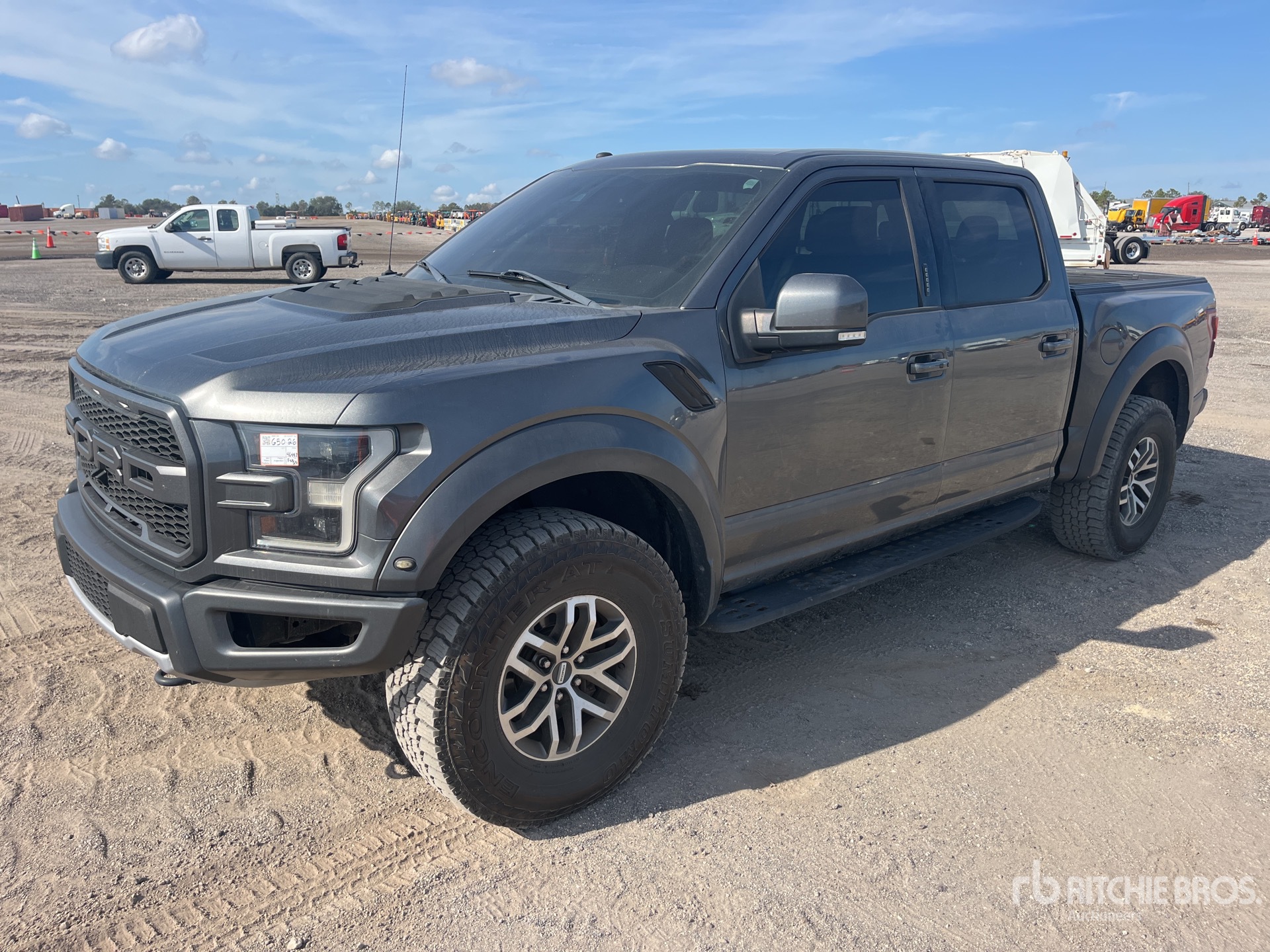 General Appearance with Spin