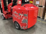 General Appearance with Paint
