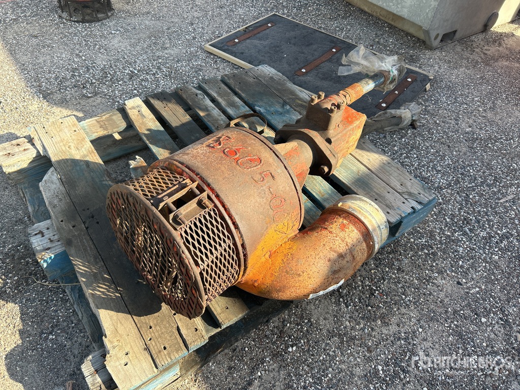 General Appearance with Featured Photo
