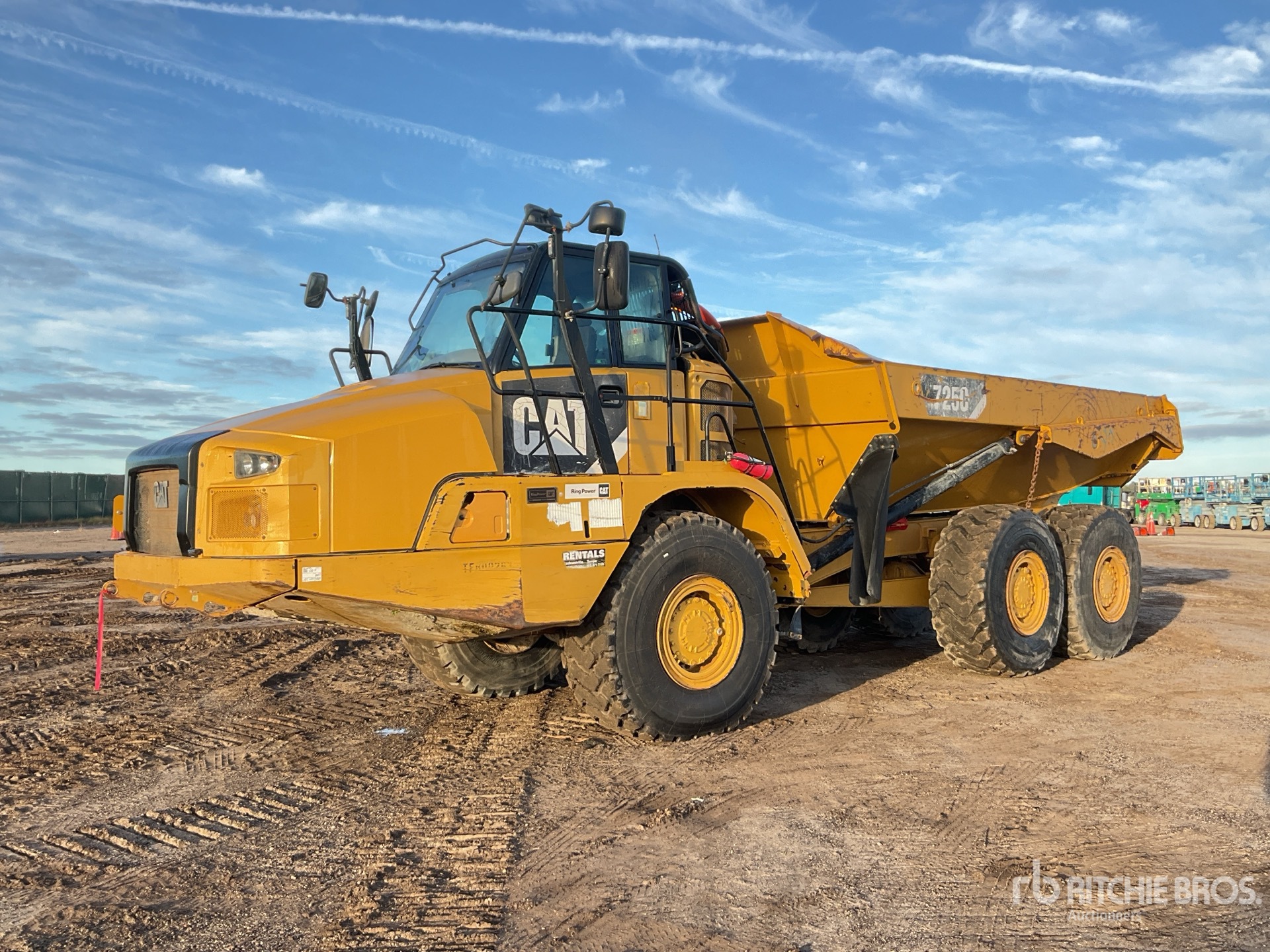 General Appearance with Spin