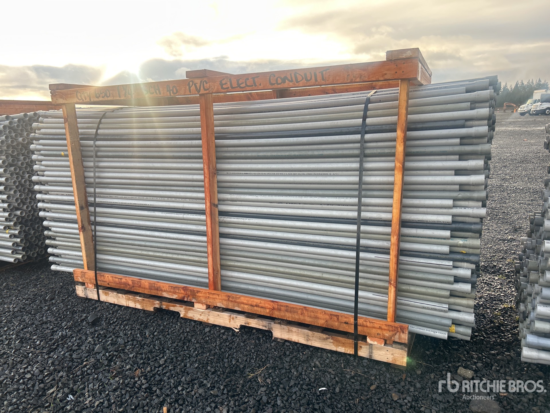 General Appearance with Foto, angolo posteriore sinistro