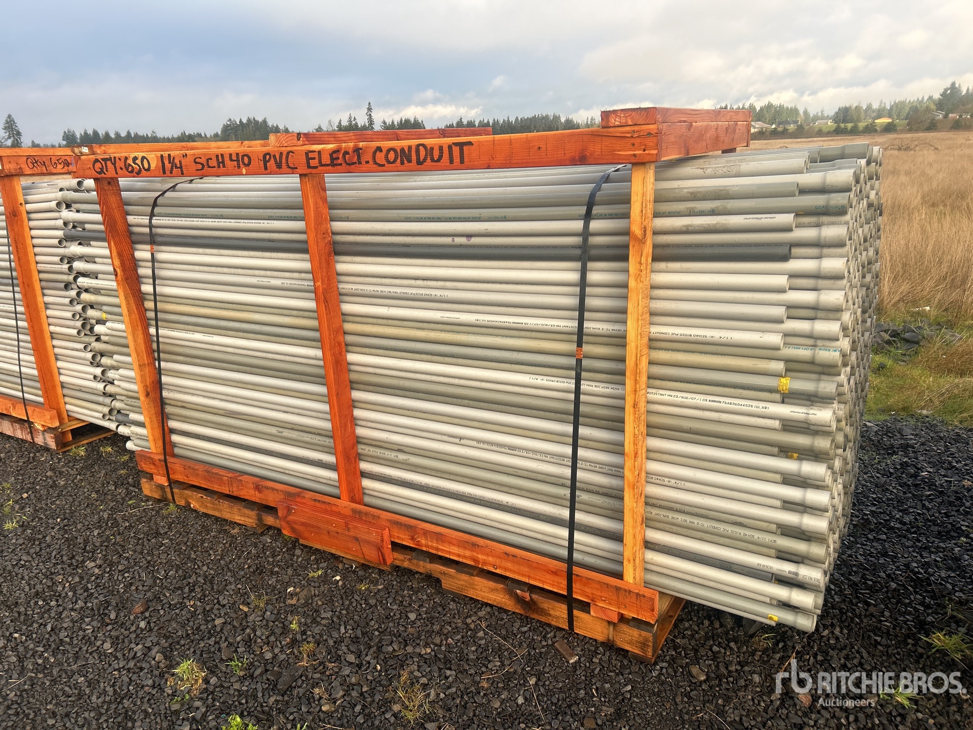 General Appearance with Foto, angolo anteriore destro