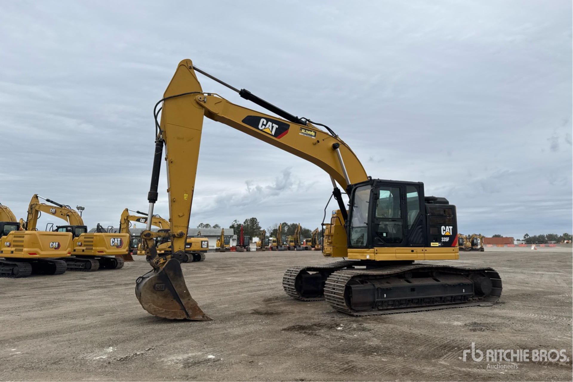 General Appearance with Spin