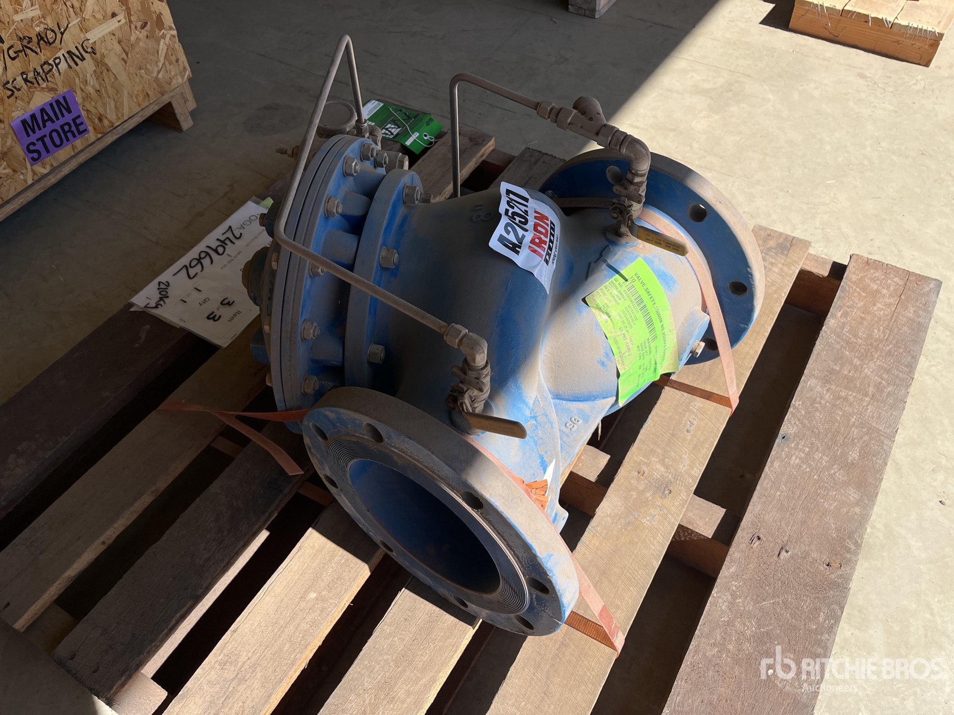 General Appearance with