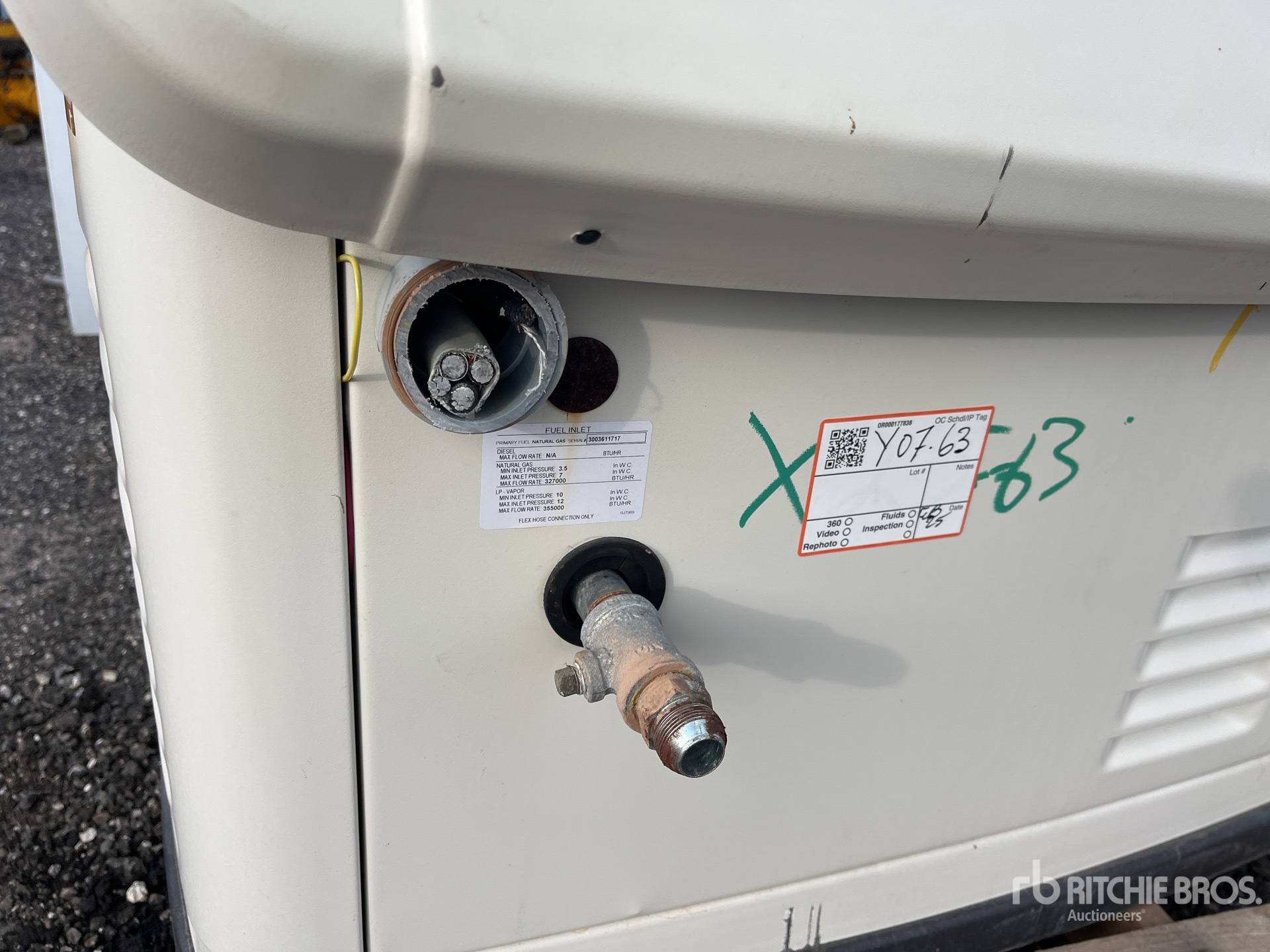 General Appearance with 