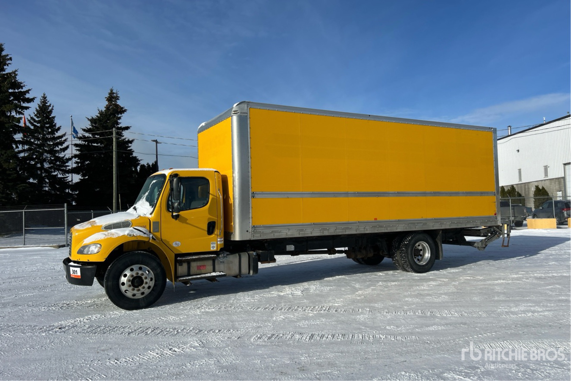 General Appearance with Spin