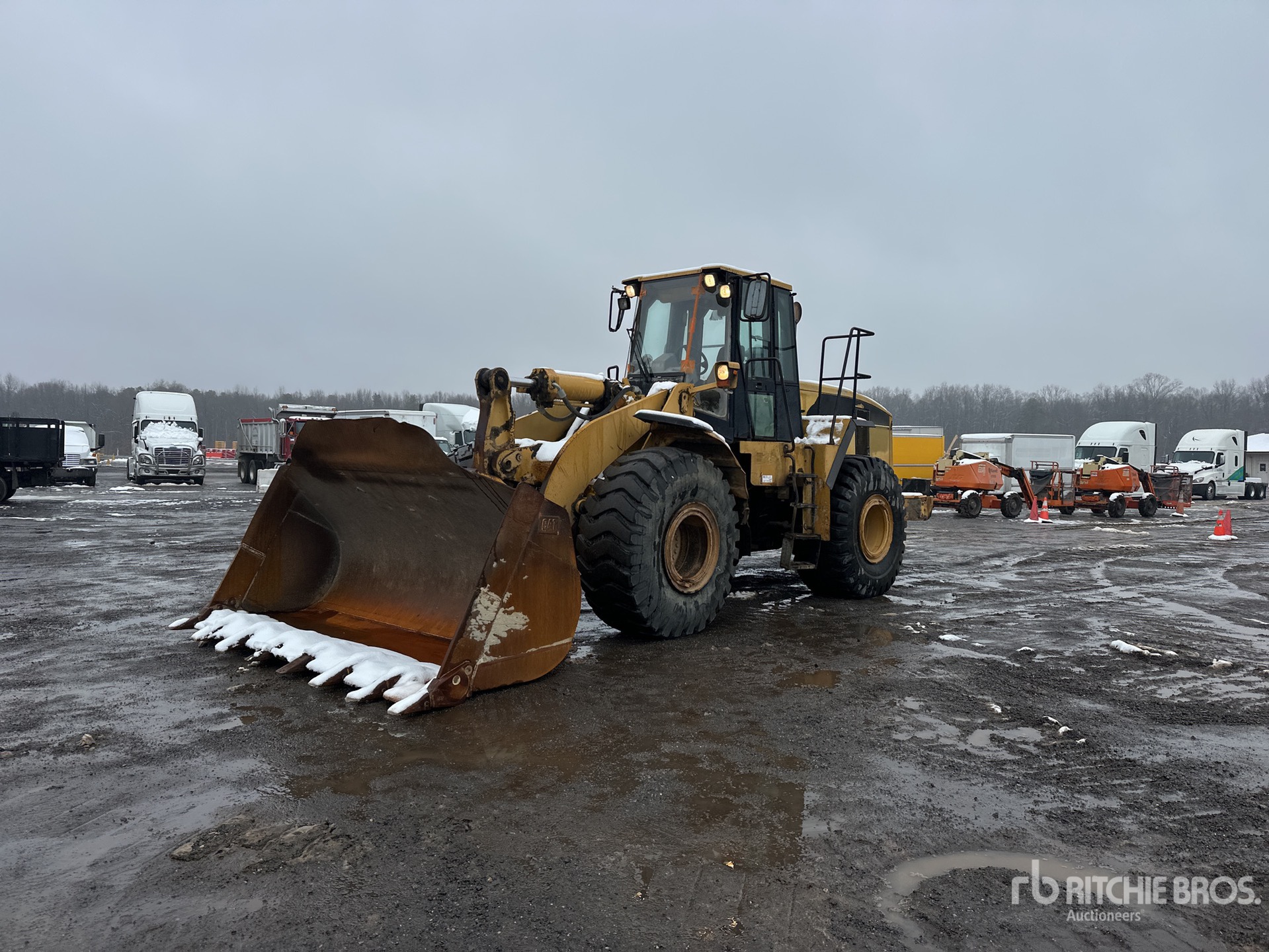 General Appearance with Spin