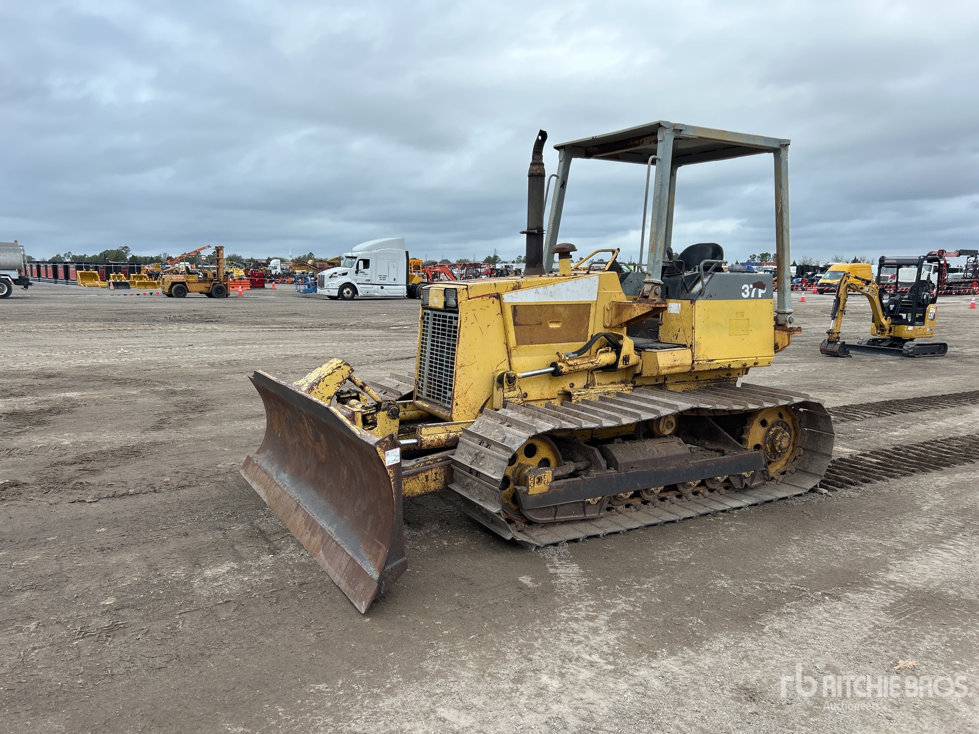 General Appearance with Spin