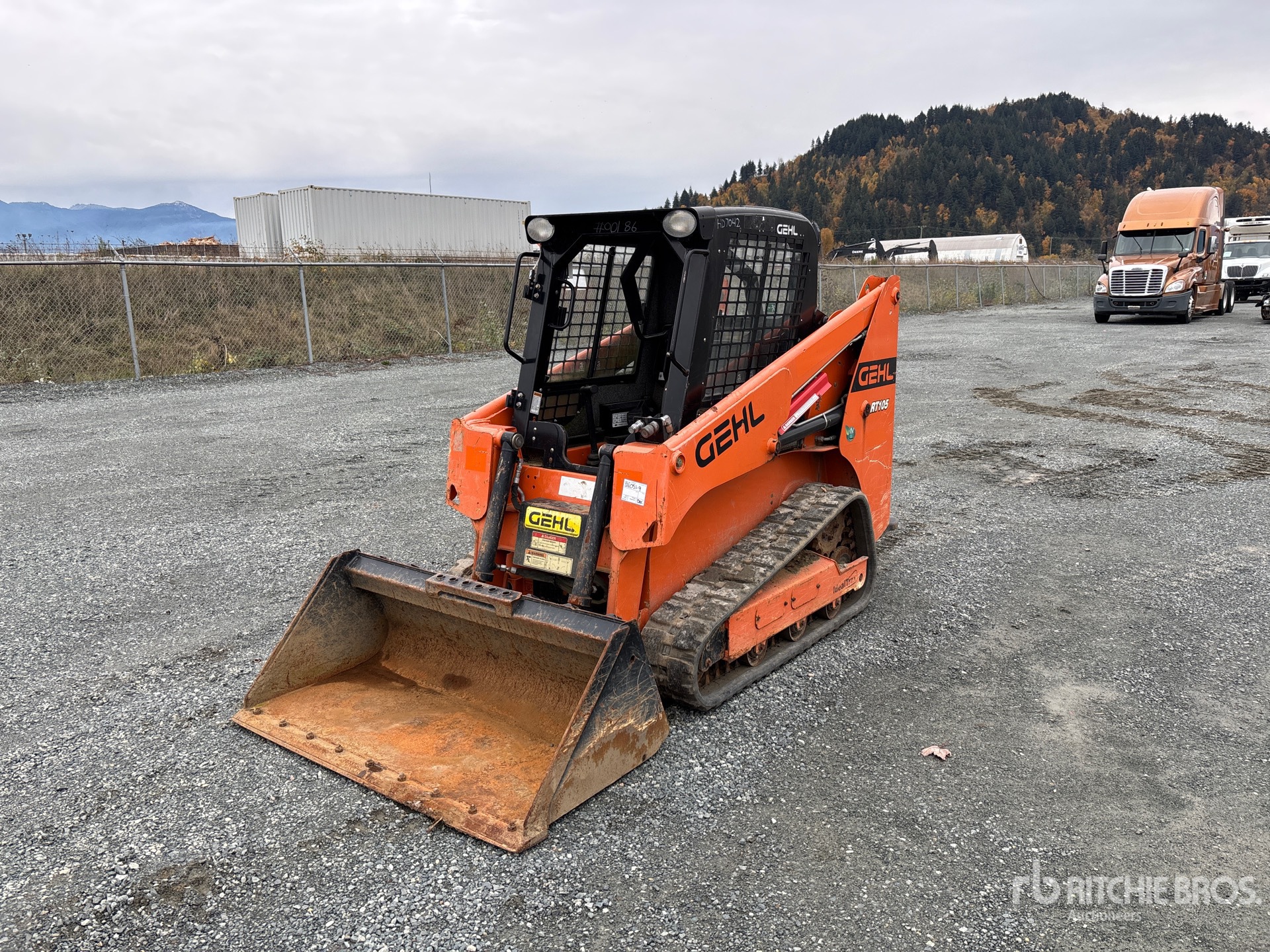 General Appearance with Spin