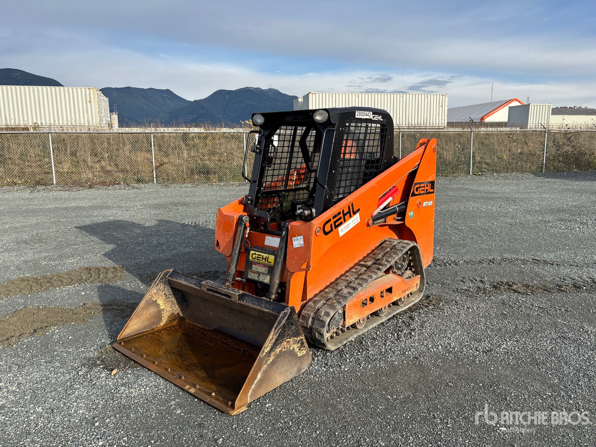 General Appearance with Spin