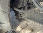 LN329019 - 2020 International LT625: Suspension Bushings