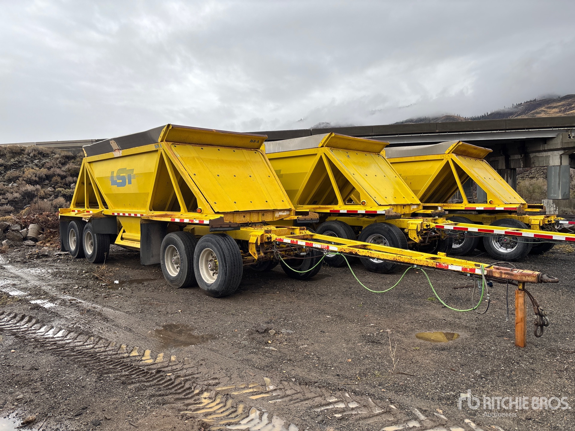 General Appearance with Zdjęcie, prawy górny róg