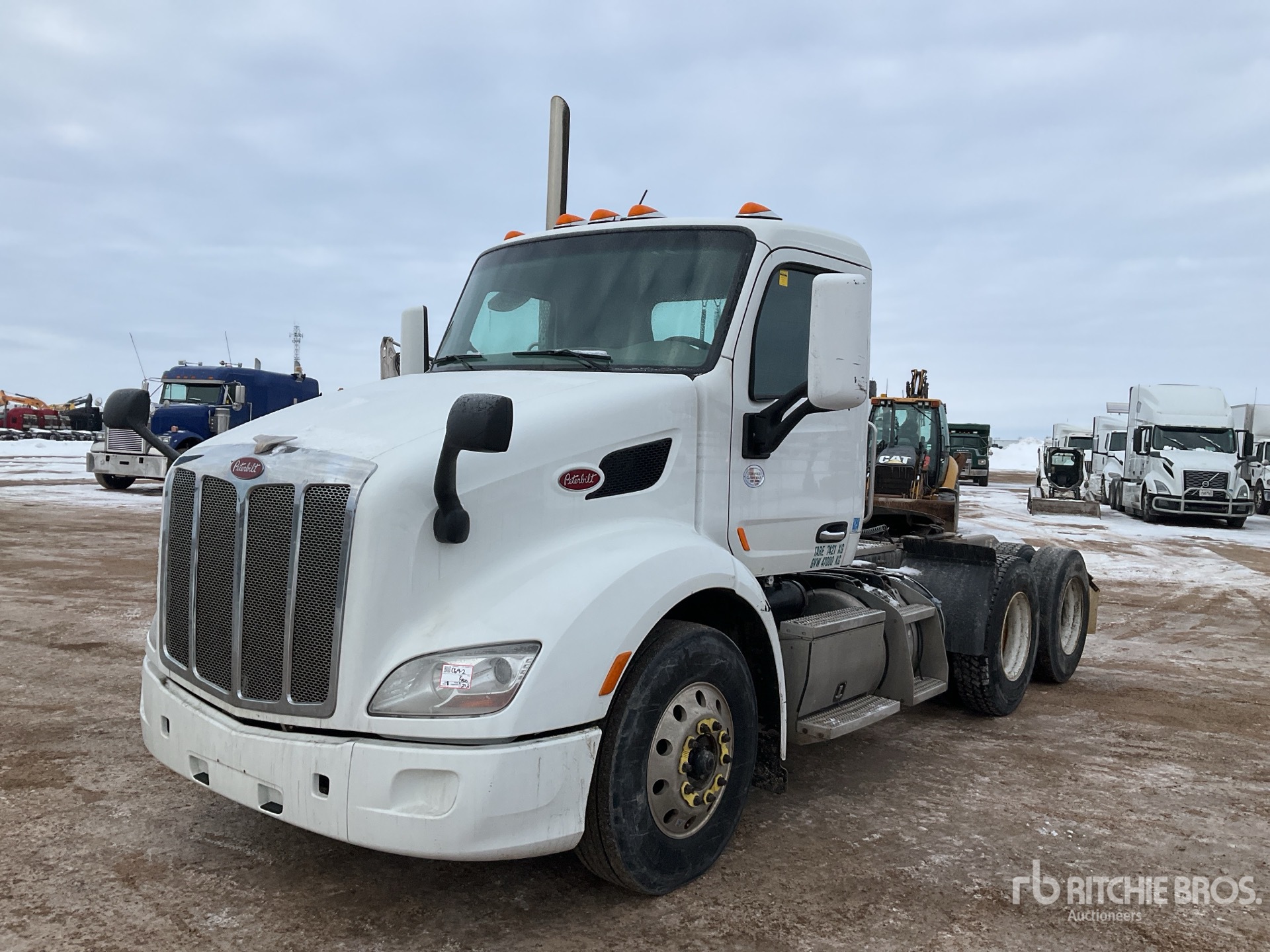 General Appearance with Spin