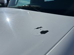 LN203598 - 2020 International LT625: Truck Paint and Body Damage