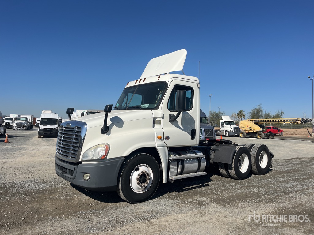 General Appearance with Spin