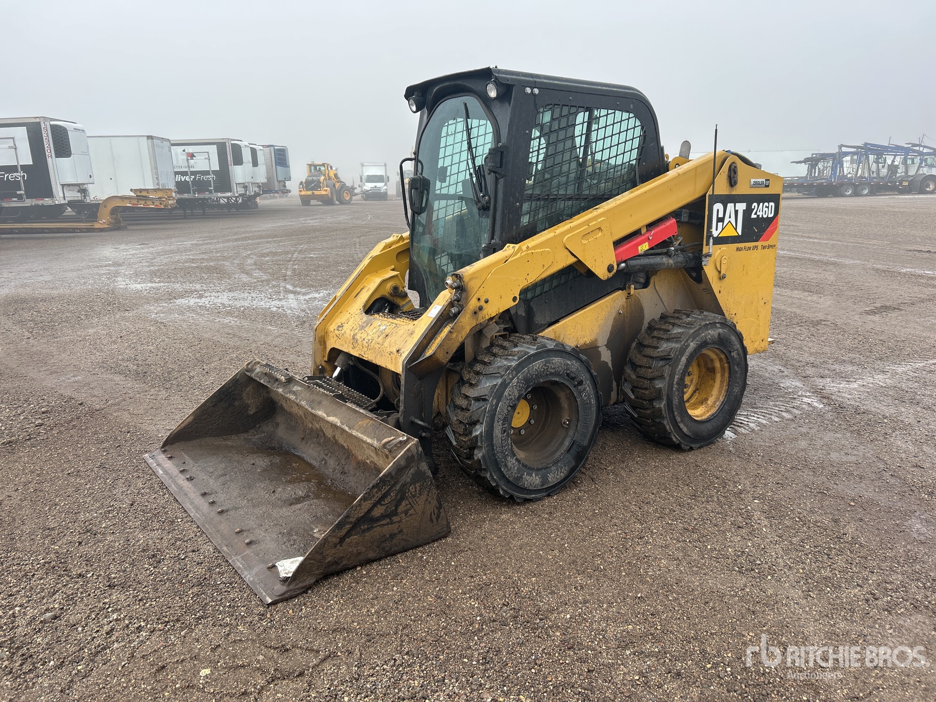 General Appearance with Spin