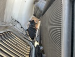 PN119222 - 2023 International LT625: Radiator