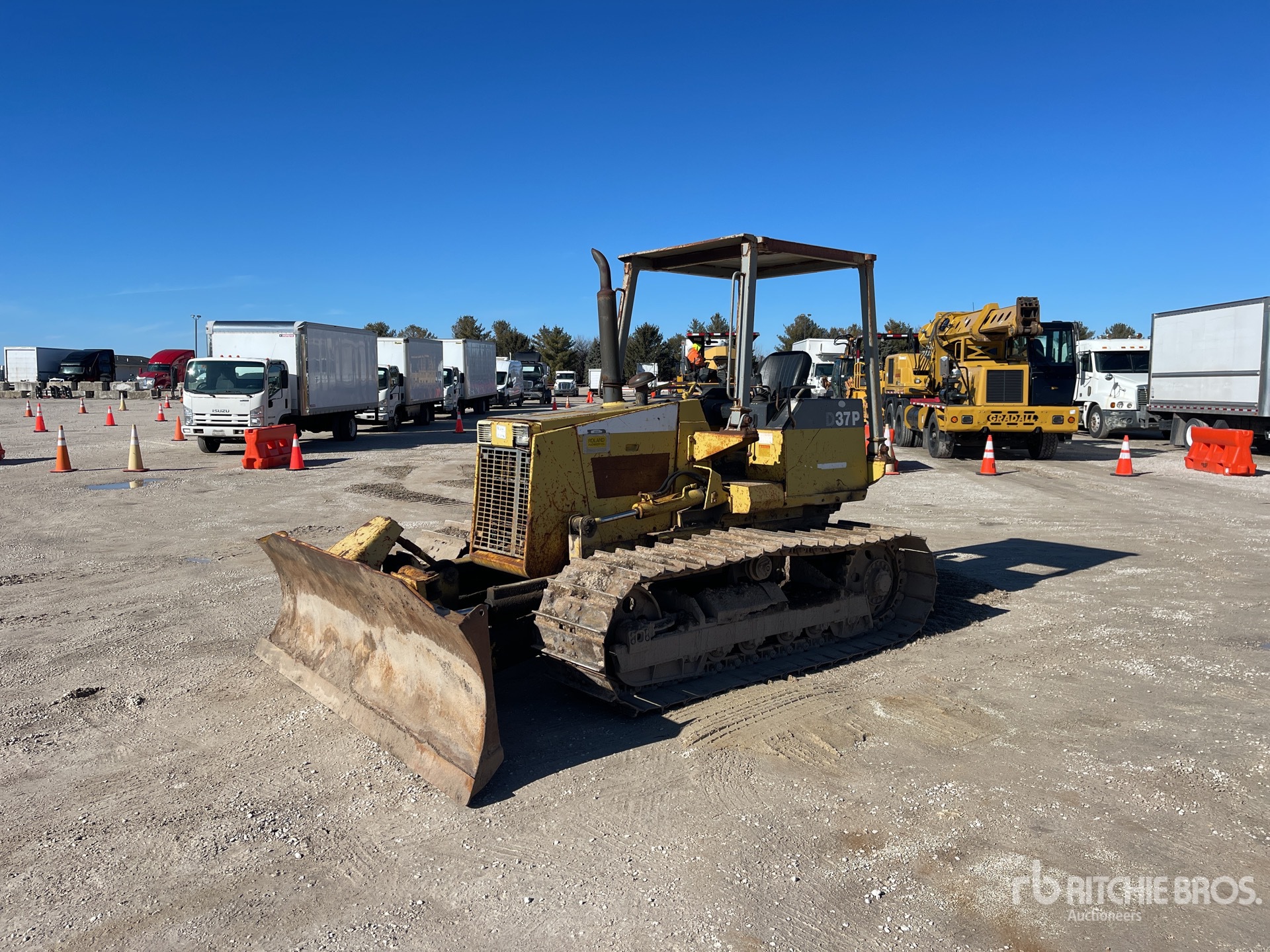 General Appearance with Spin