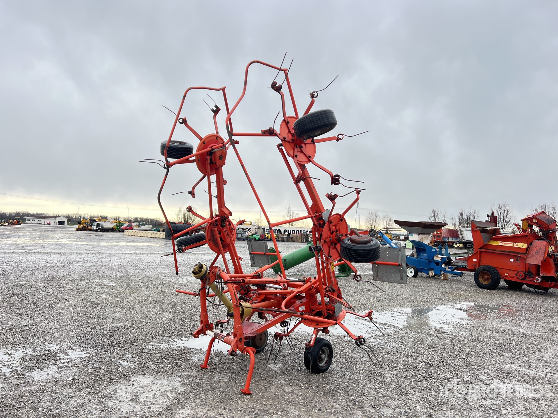 General Appearance with 