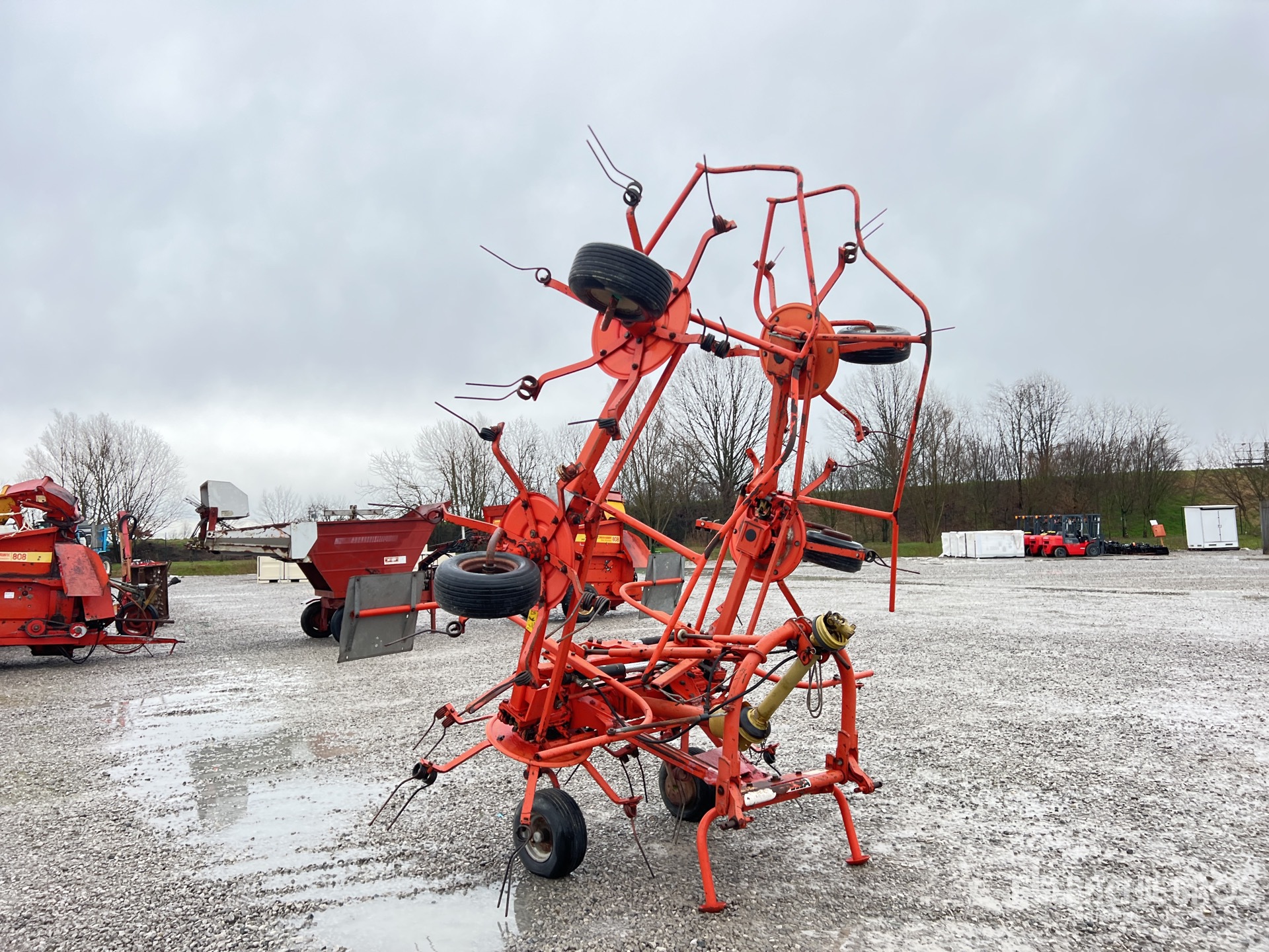 General Appearance with 