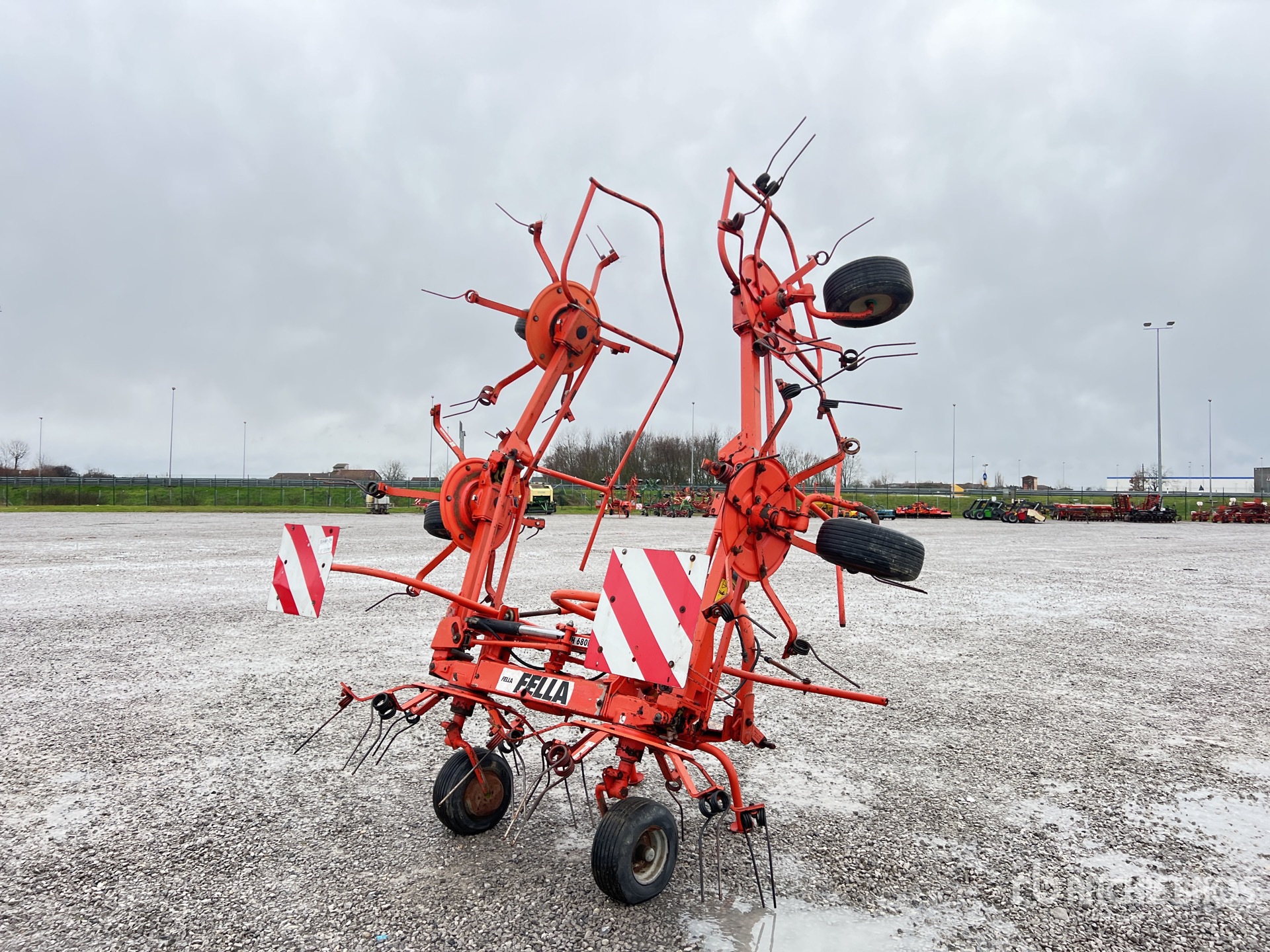 General Appearance with 