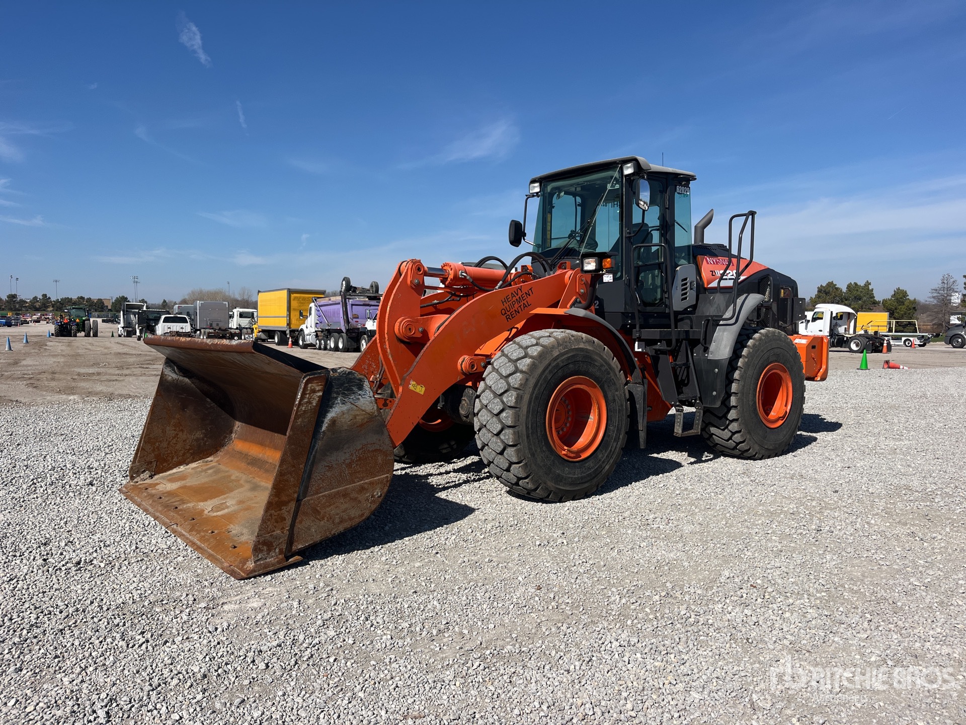 General Appearance with Spin