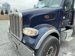 General Appearance with Paint