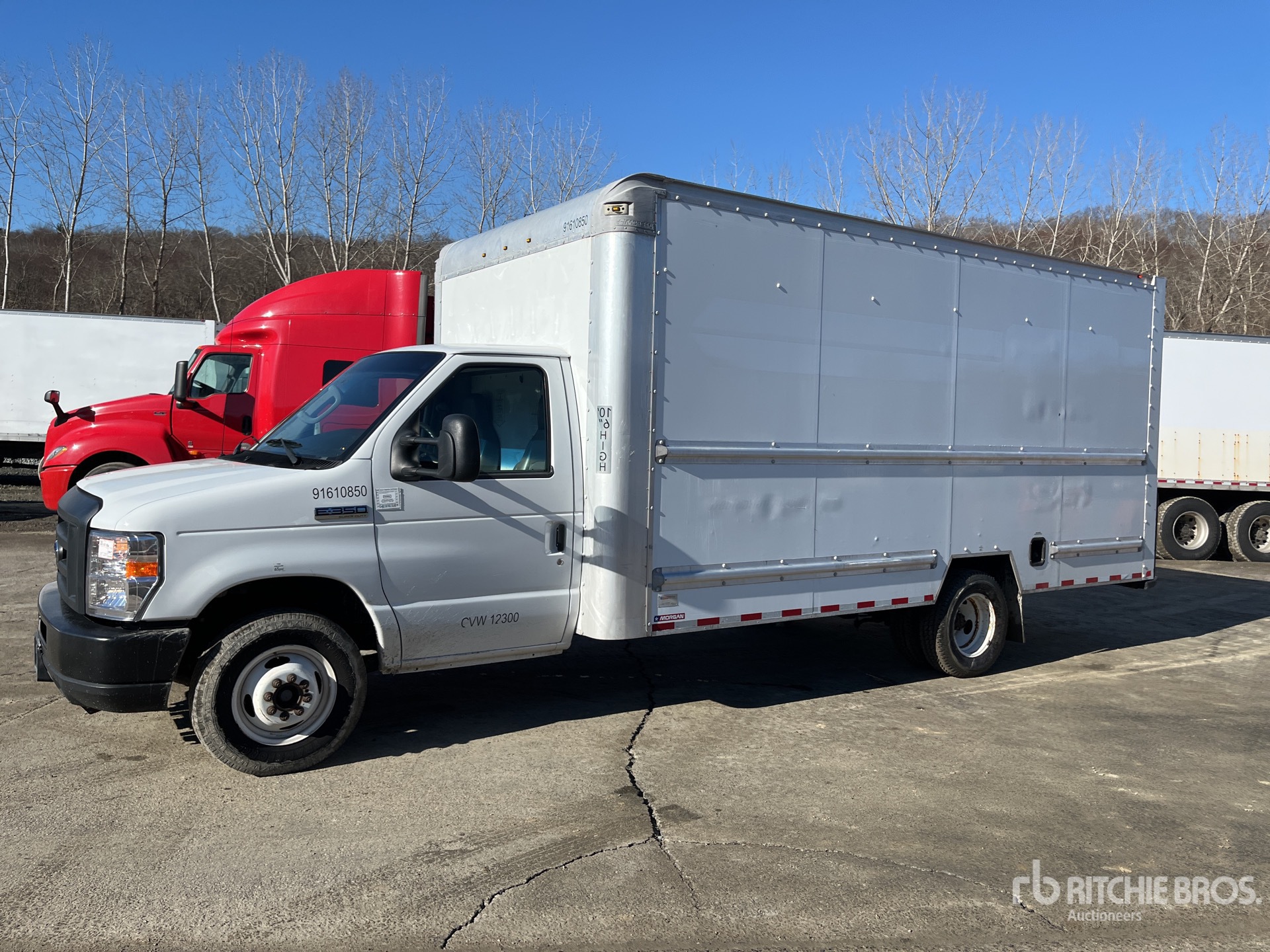 General Appearance with Spin