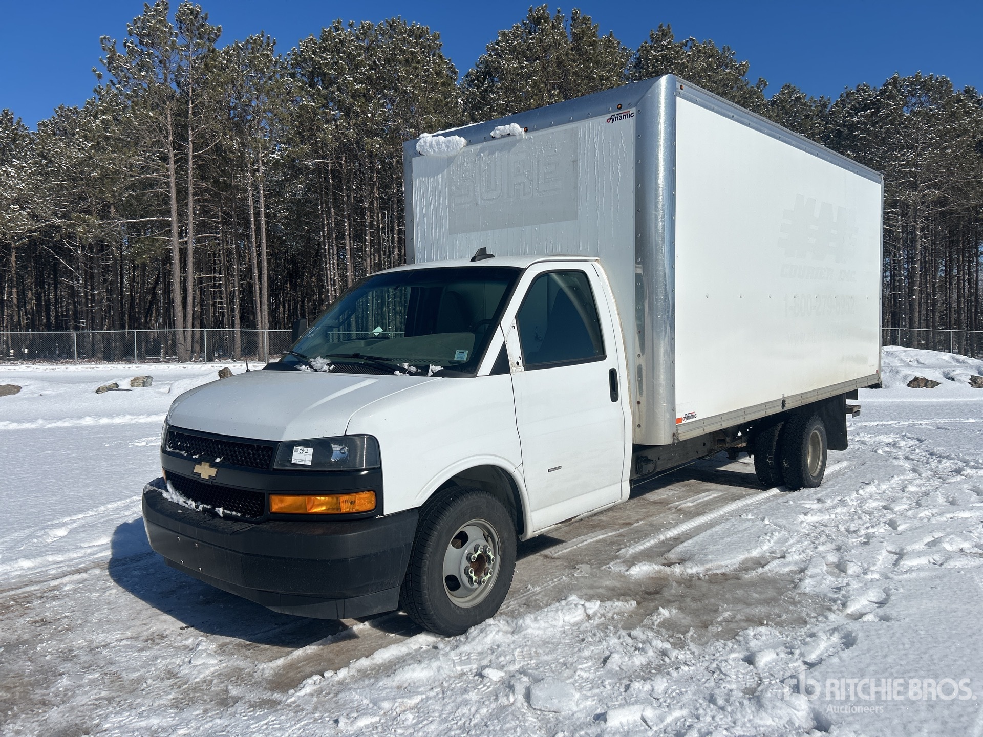 General Appearance with Spin