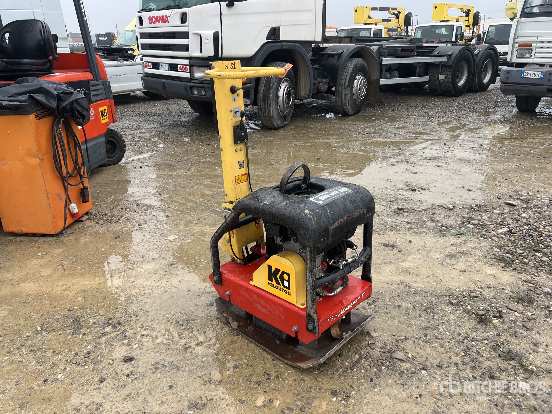 General Appearance with