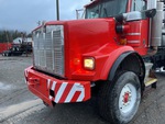 General Appearance with Paint