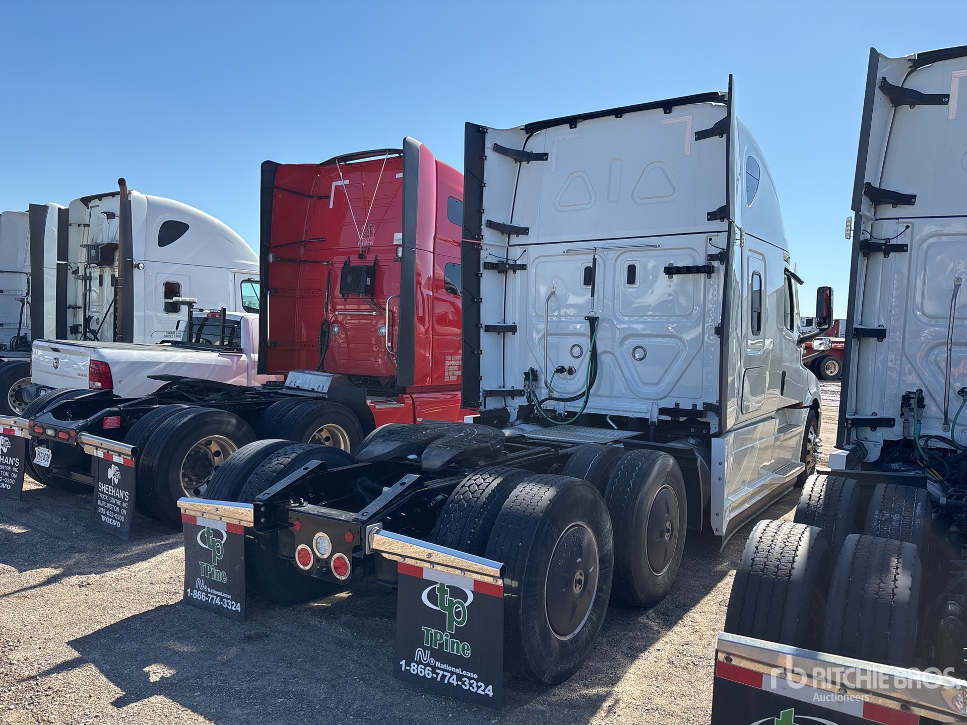 General Appearance with Zdjęcie, prawy dolny róg