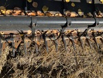 Windrower Header with