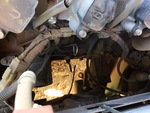 Engine with Oil Leaks