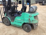 General Appearance with Paint