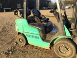 General Appearance with Paint