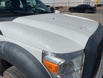 General Appearance with Pintura
