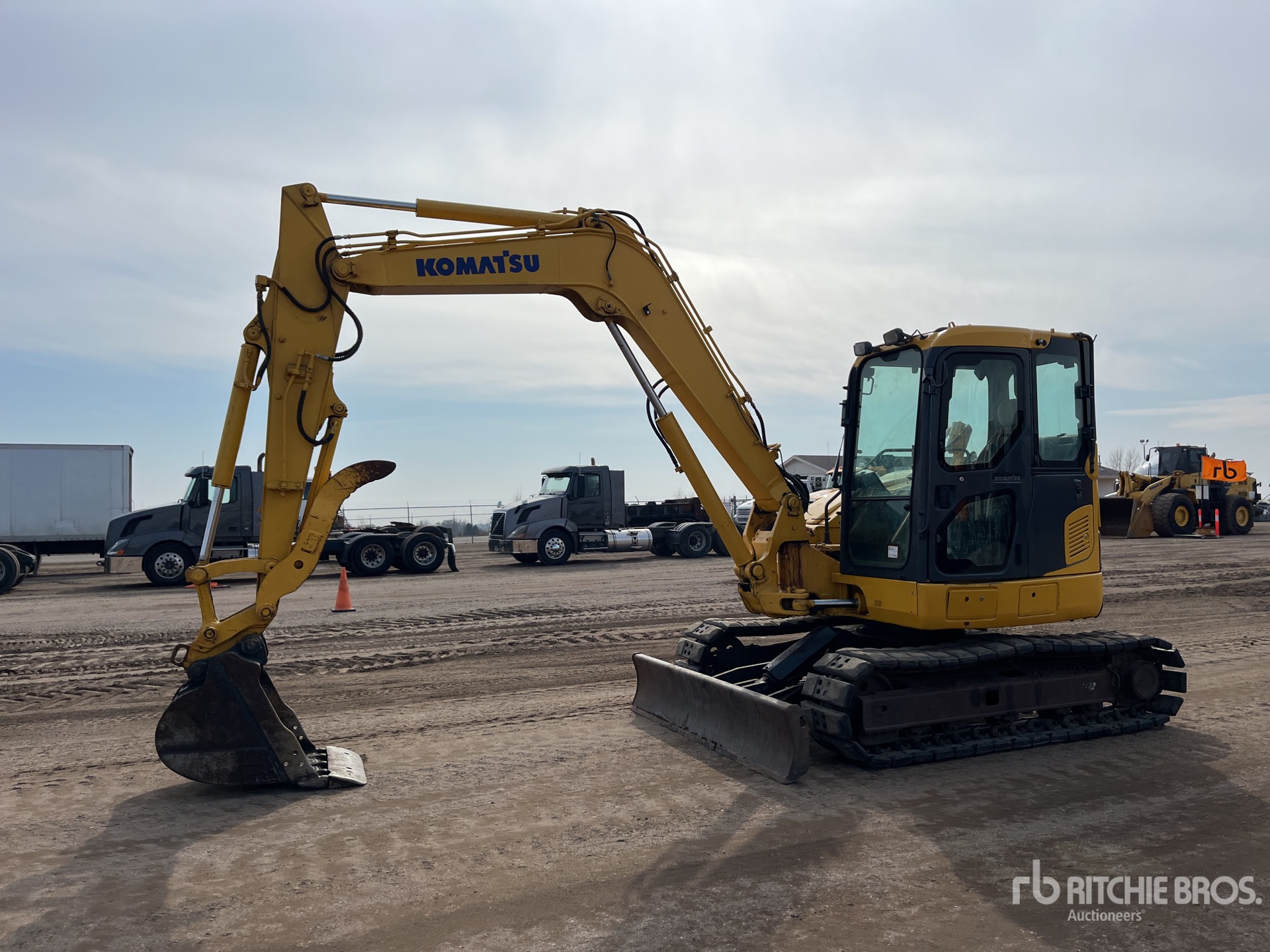 General Appearance with Spin