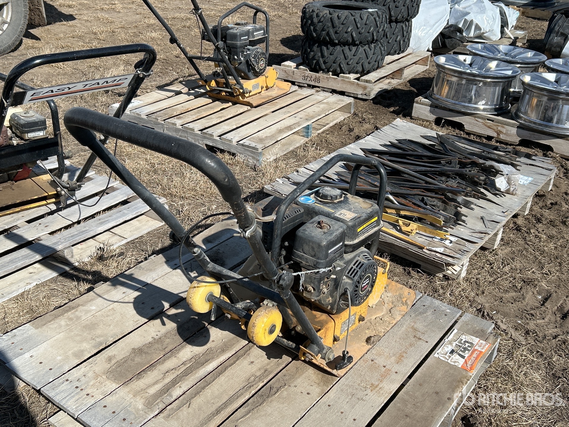 General Appearance with