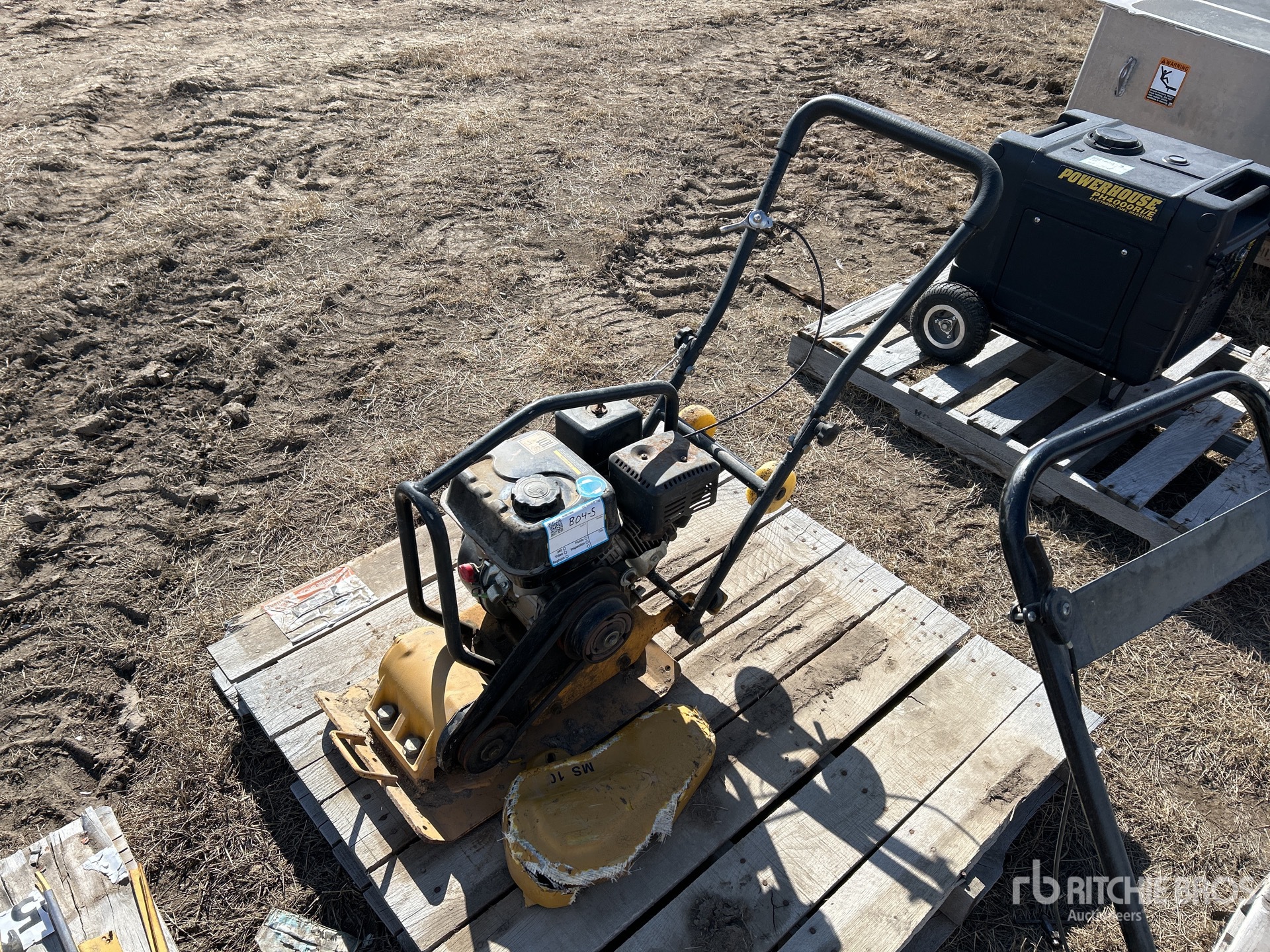 General Appearance with