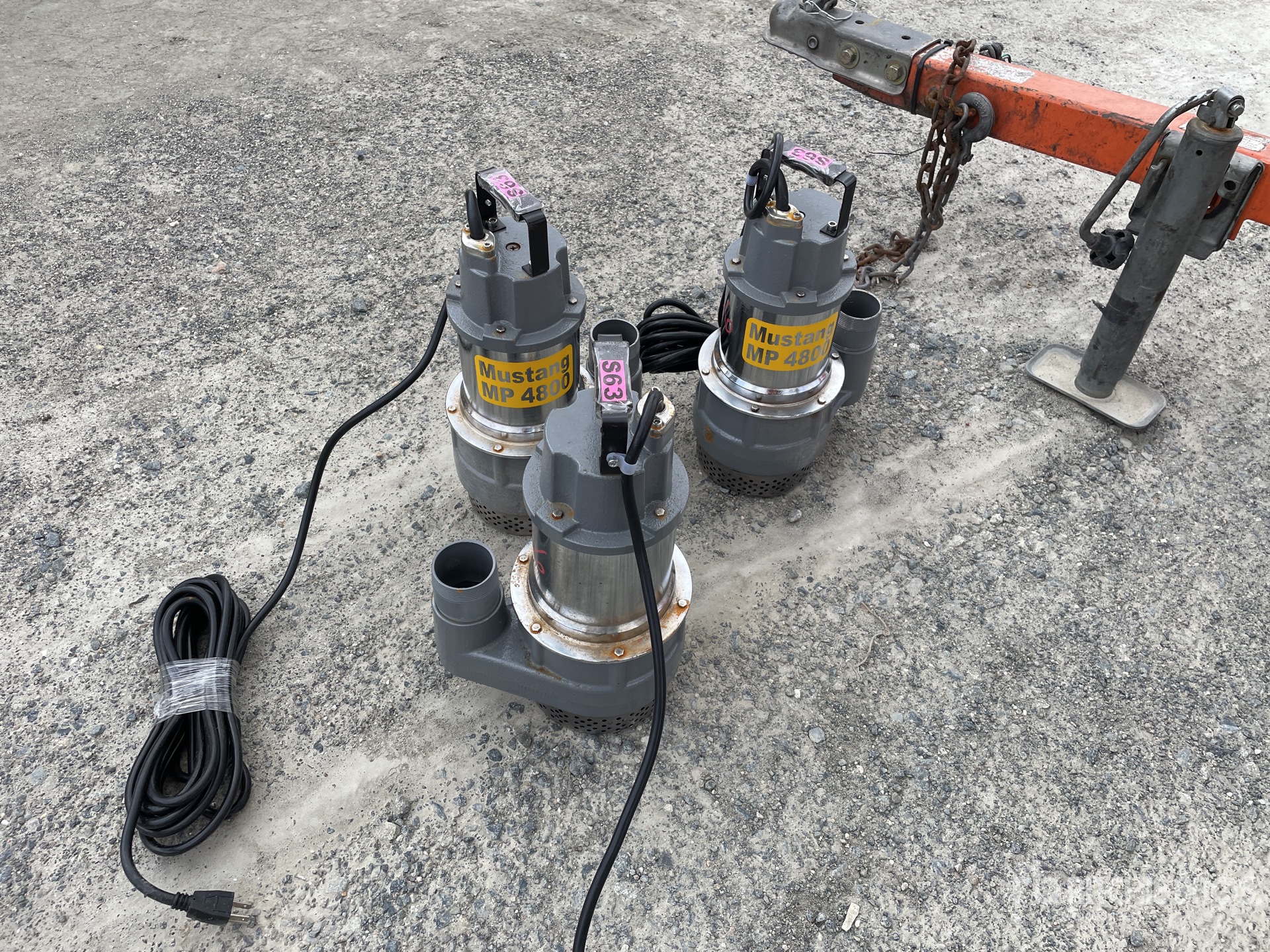 General Appearance with Bild, Ecke vorne links