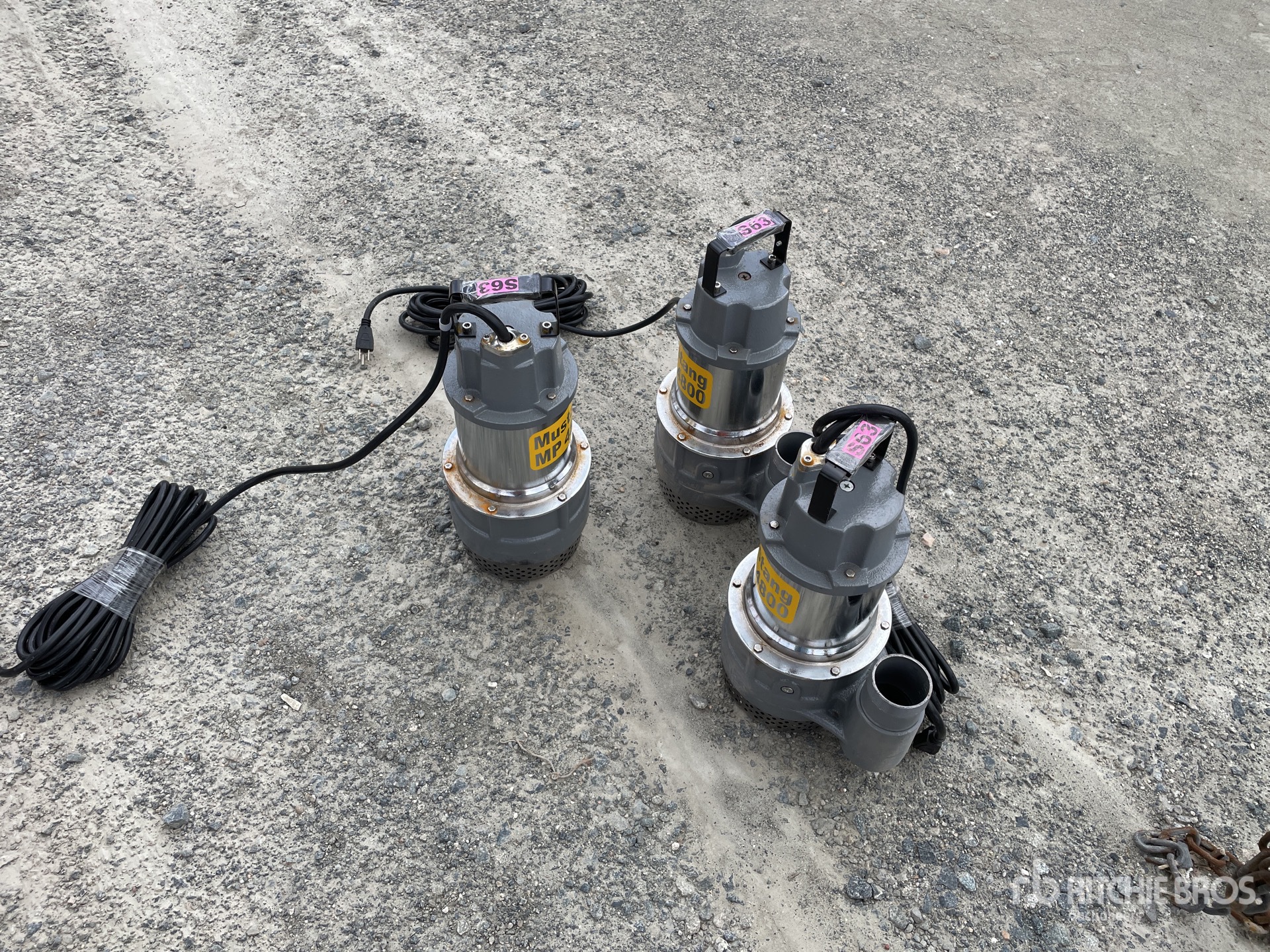 General Appearance with Bild, Ecke hinten links