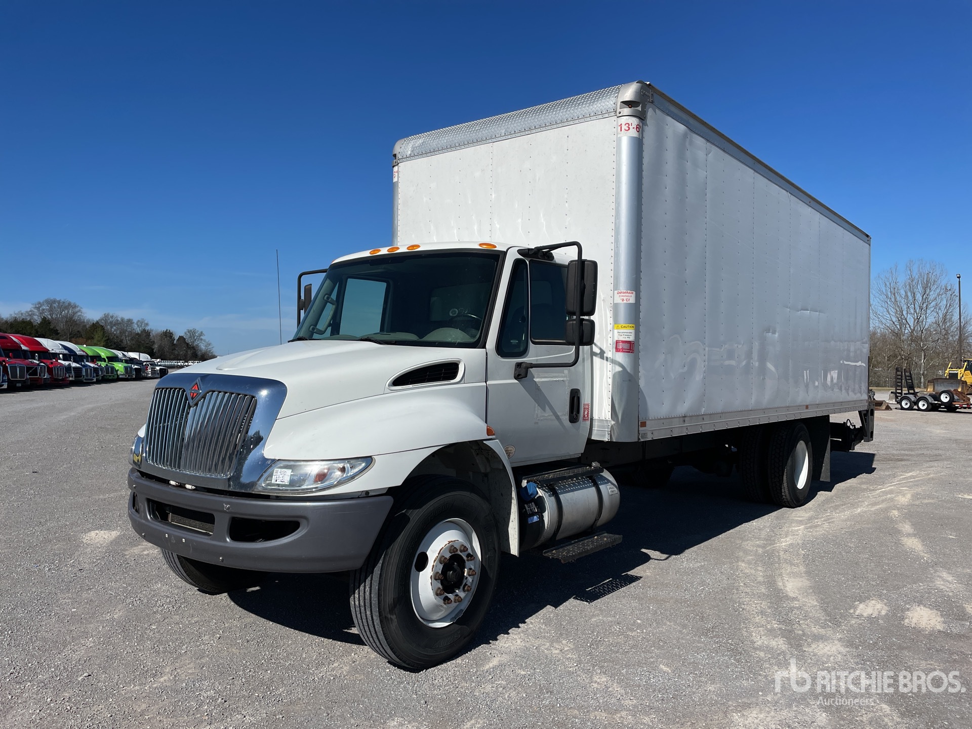 General Appearance with Spin