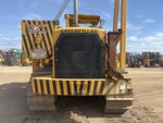 General Appearance with Paint
